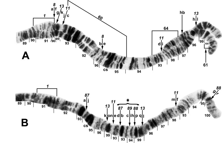 Fig 12