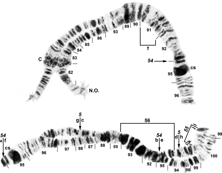 Fig 6