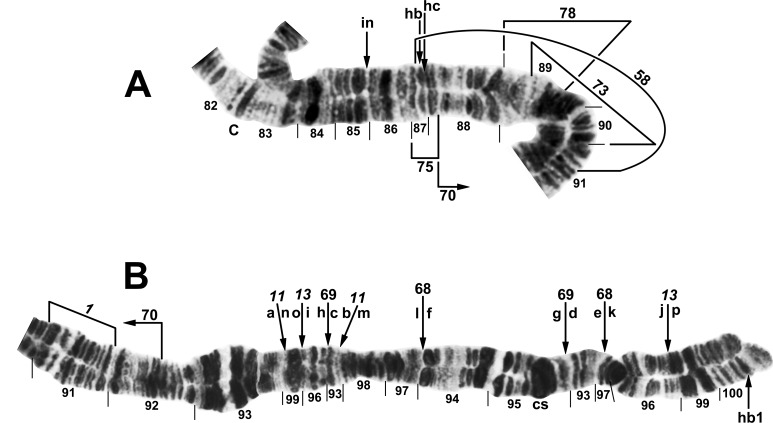 Fig 11