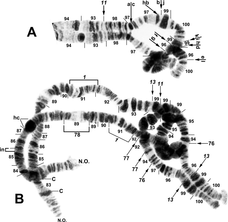 Fig 10