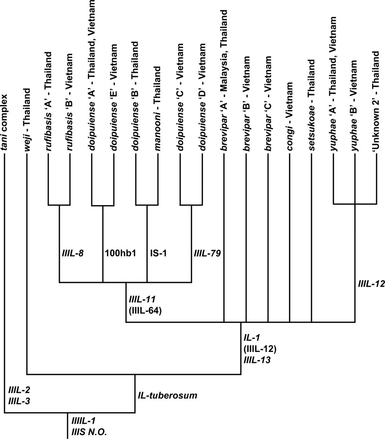 Fig 14