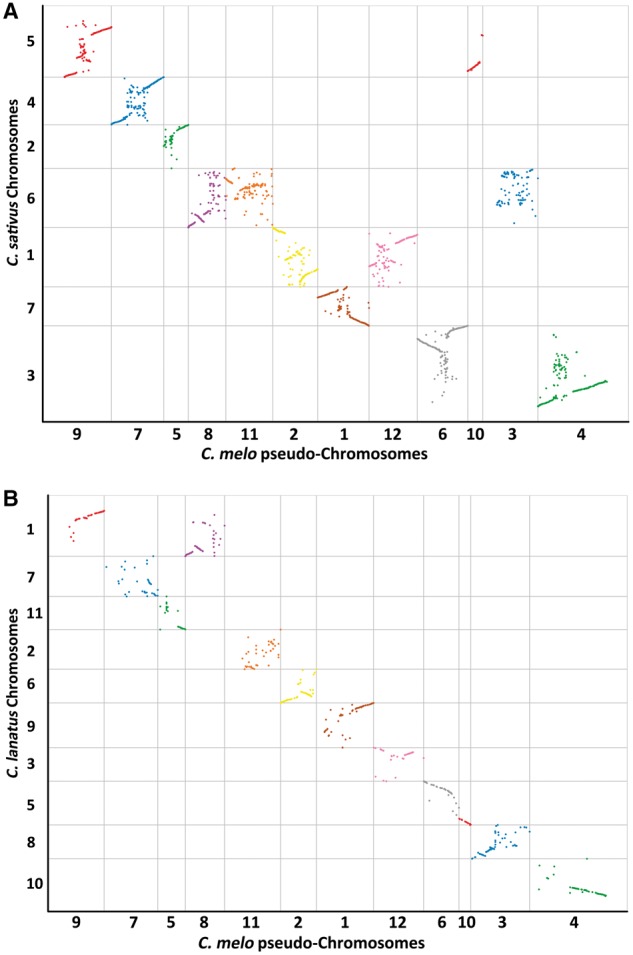 Figure 5.