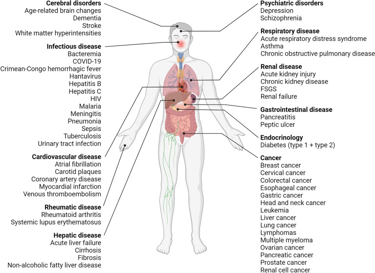 Figure 4