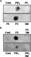 Fig. 7.