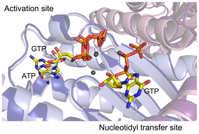 Figure 5