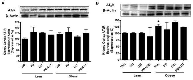 Fig.4