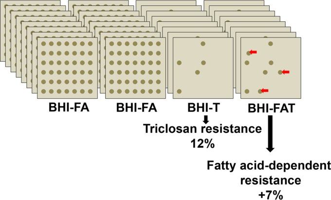 FIG 1