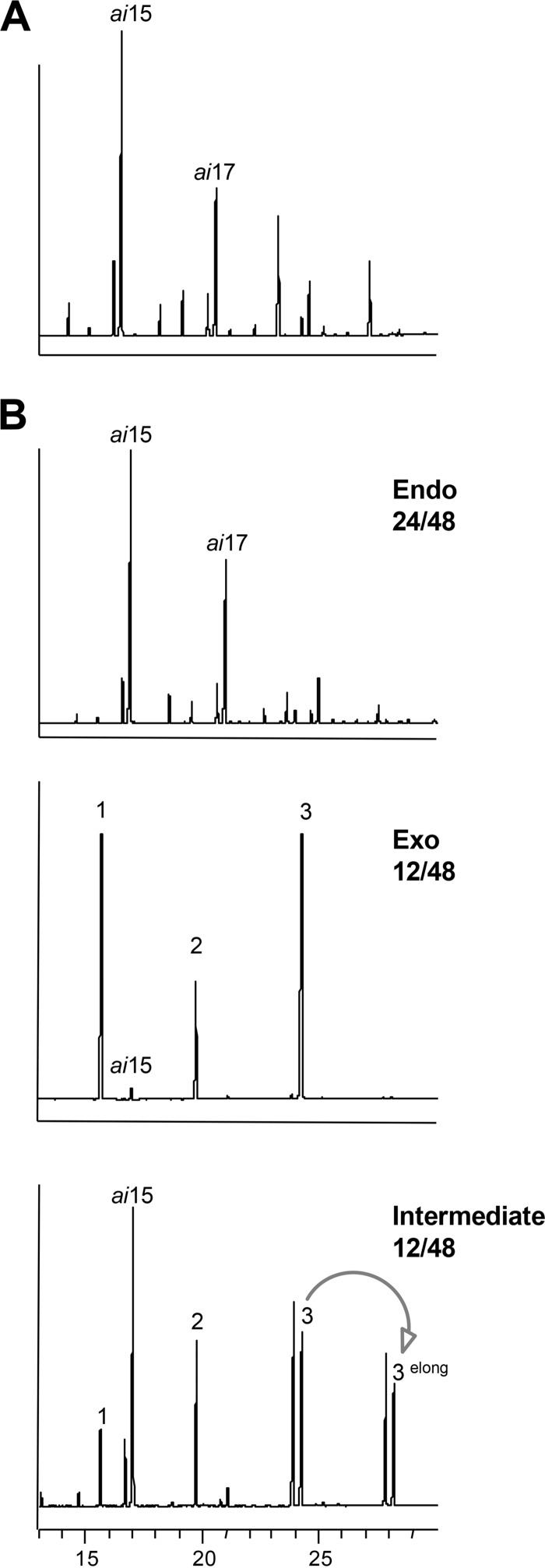 FIG 2