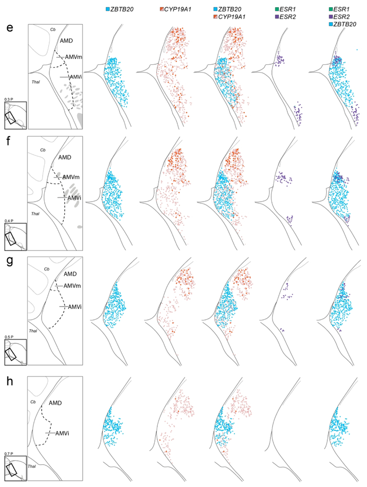 Figure 9.