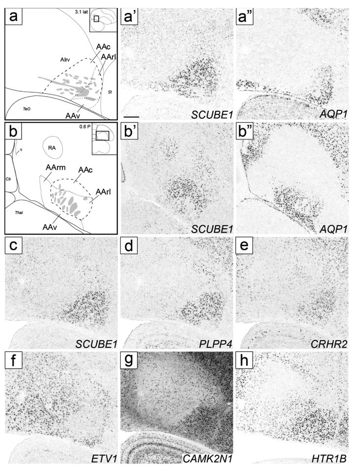 Figure 6.