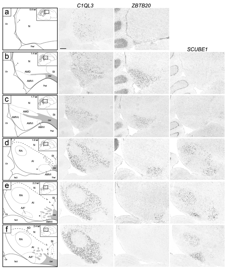 Figure 5.