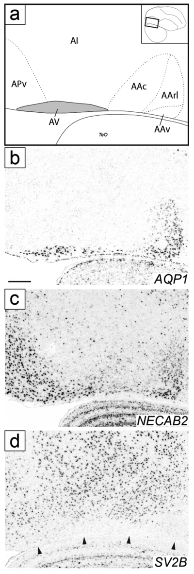 Figure 13.