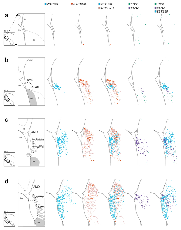 Figure 9.