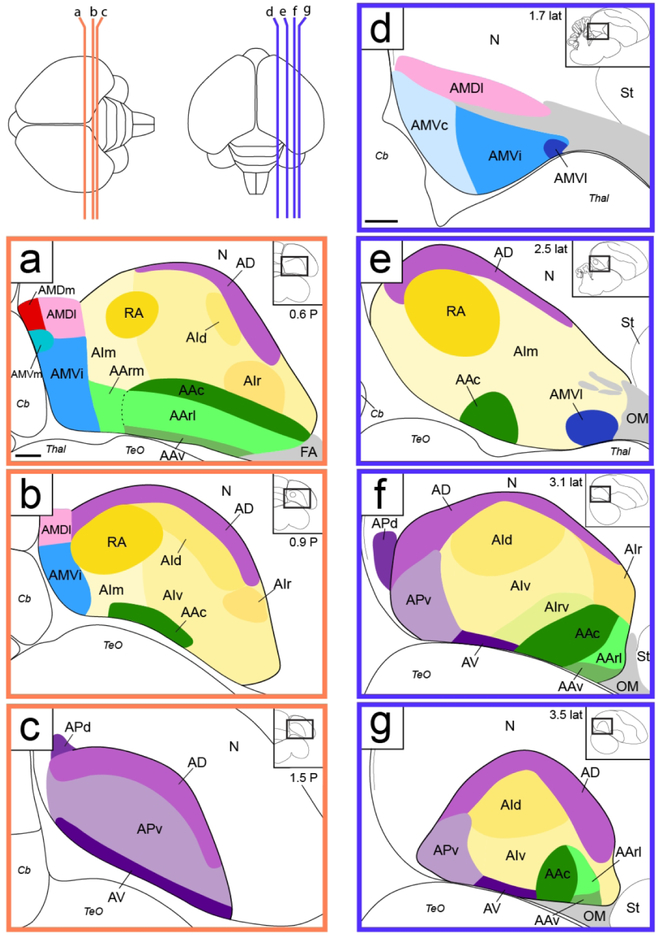 Figure 17.