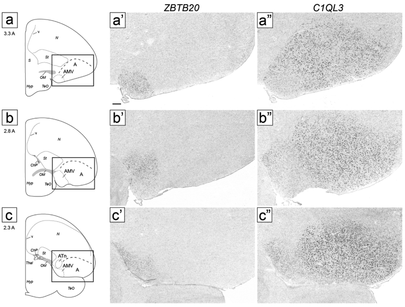 Figure 15.