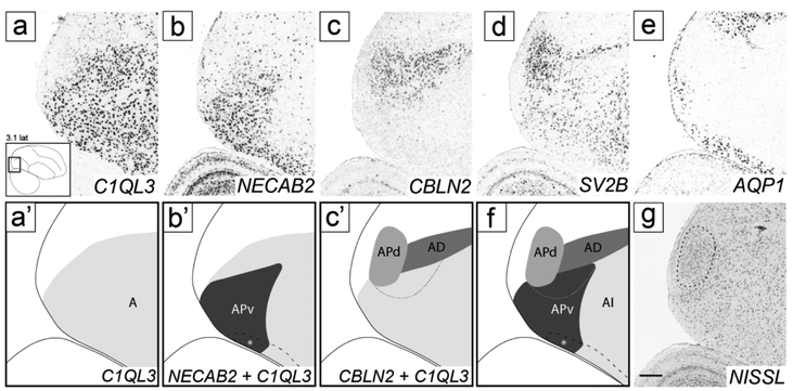 Figure 11.