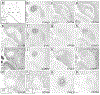Figure 12.
