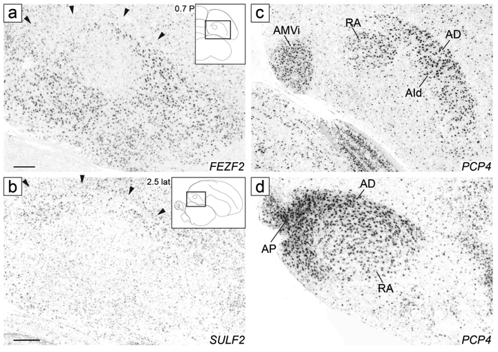 Figure 14.