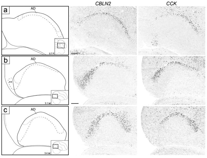 Figure 10.