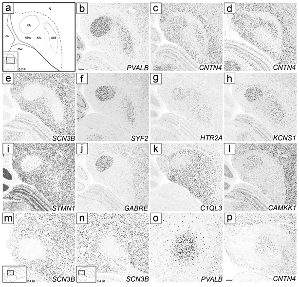 Figure 12.