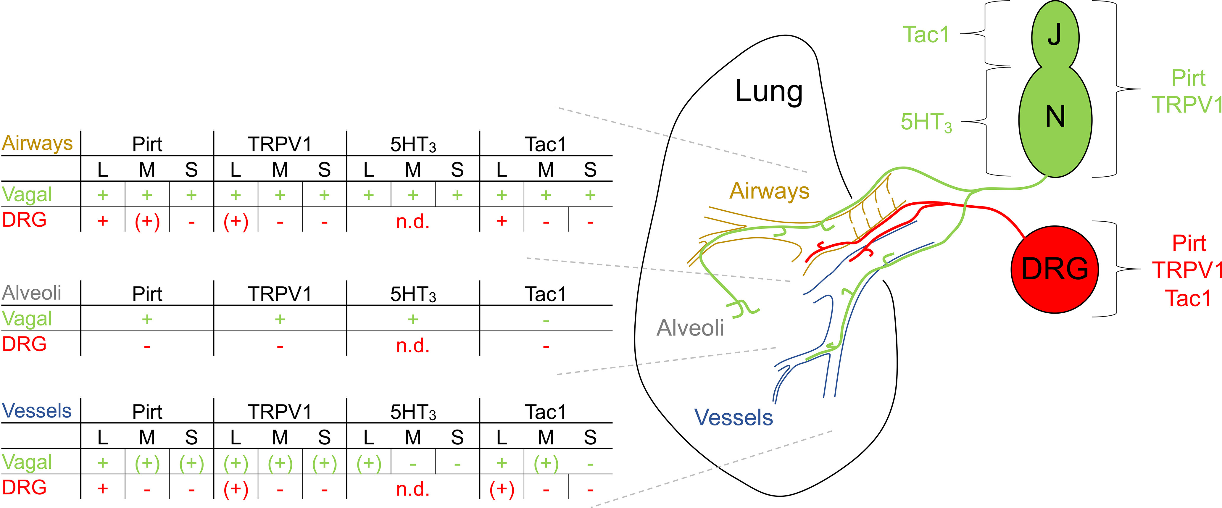 Figure 12.