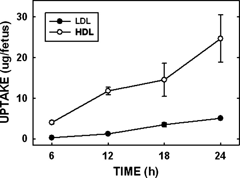 Fig. 3.