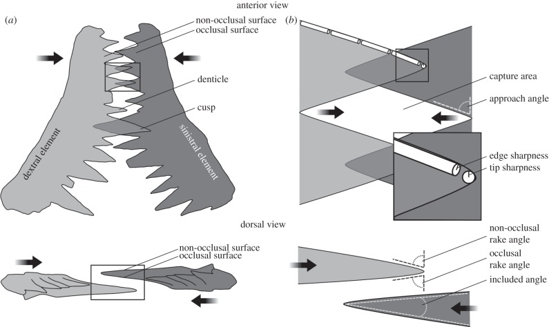 Figure 1.