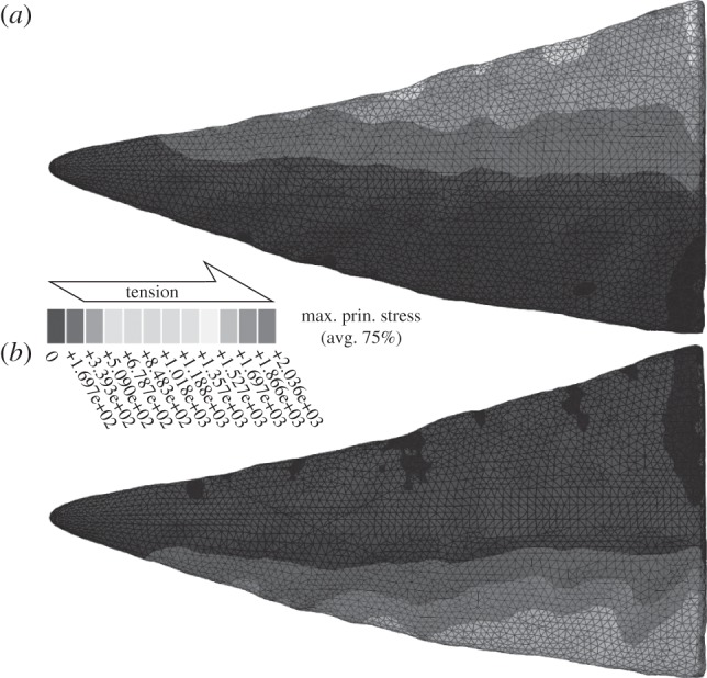 Figure 4.