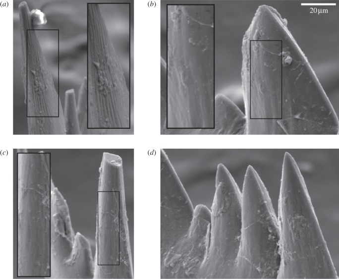 Figure 3.