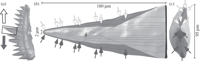 Figure 2.