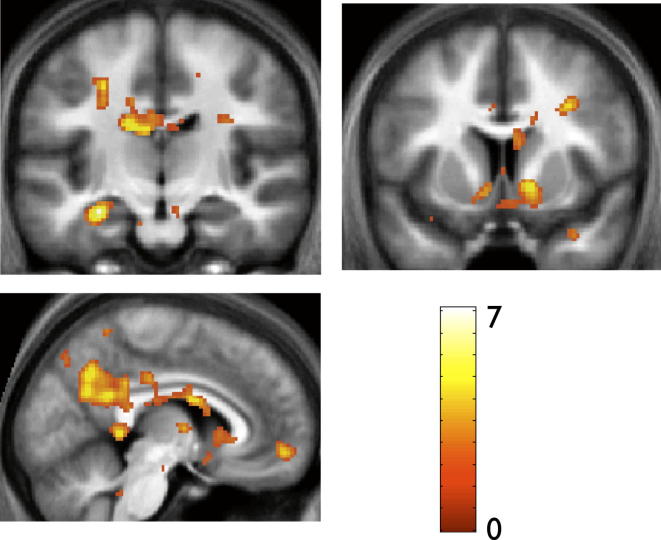 Figure 6