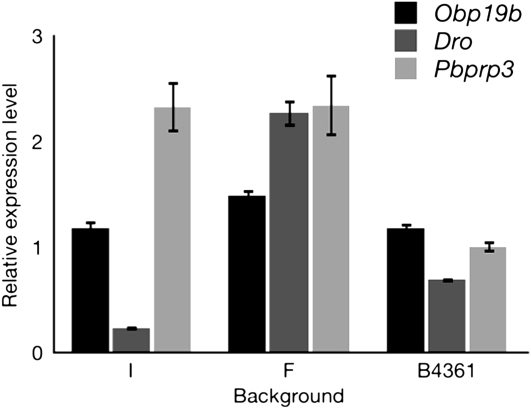 Figure 4.—