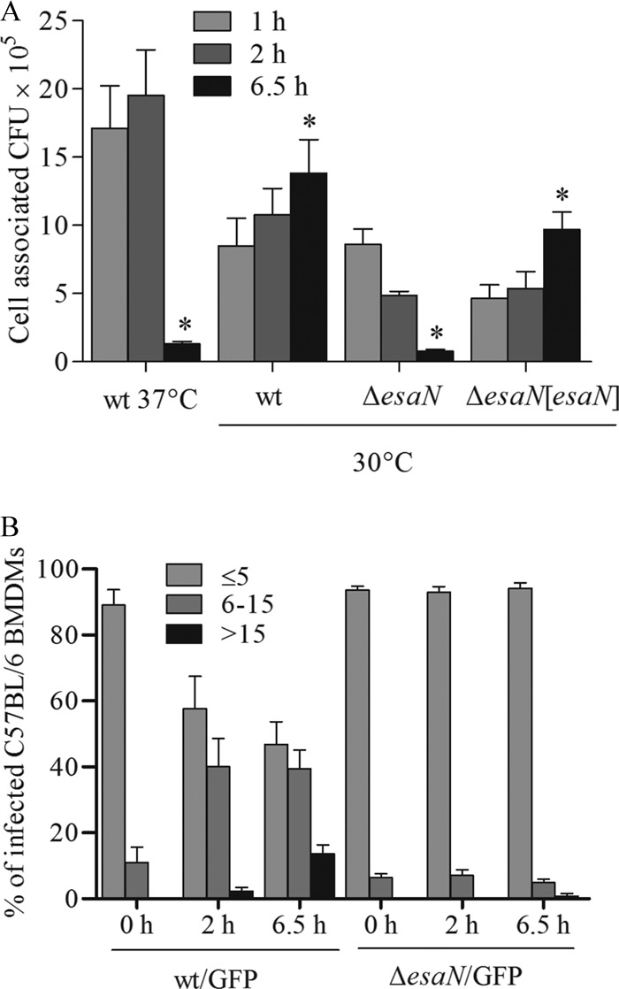 FIG 1