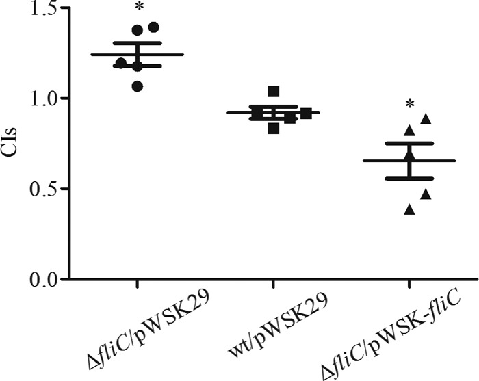 FIG 6