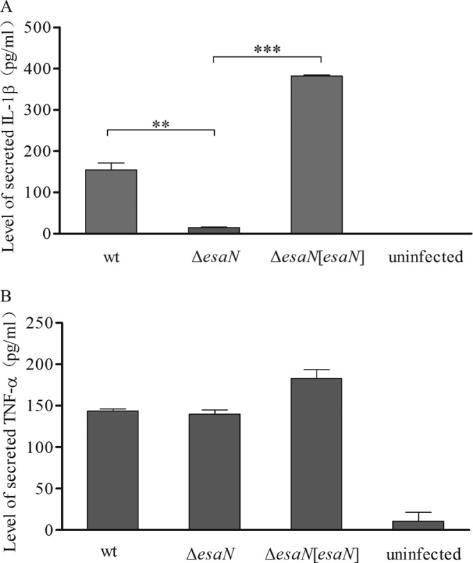 FIG 4