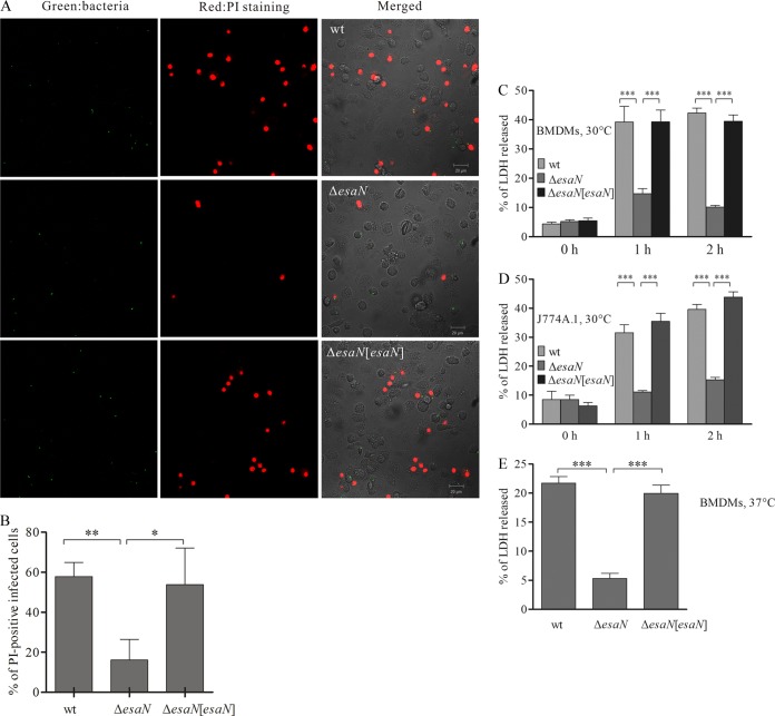 FIG 2