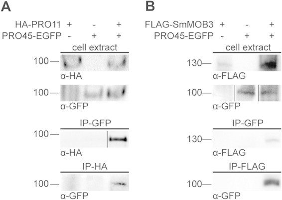 FIG 3