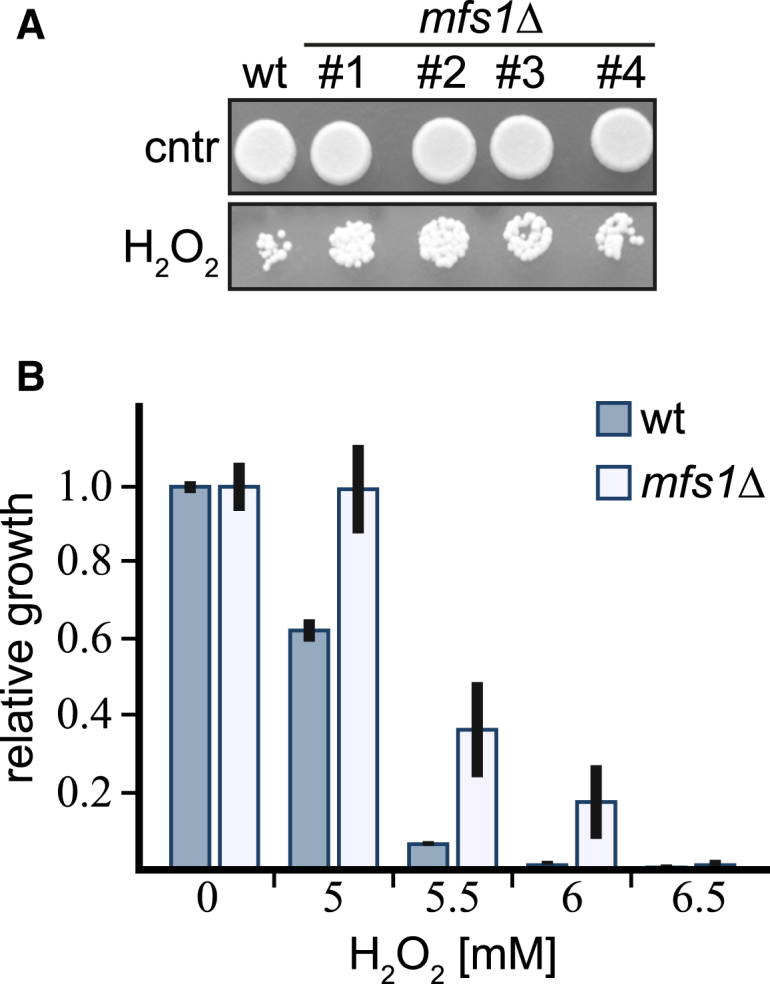 Figure 6