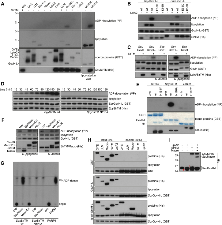 Figure 4