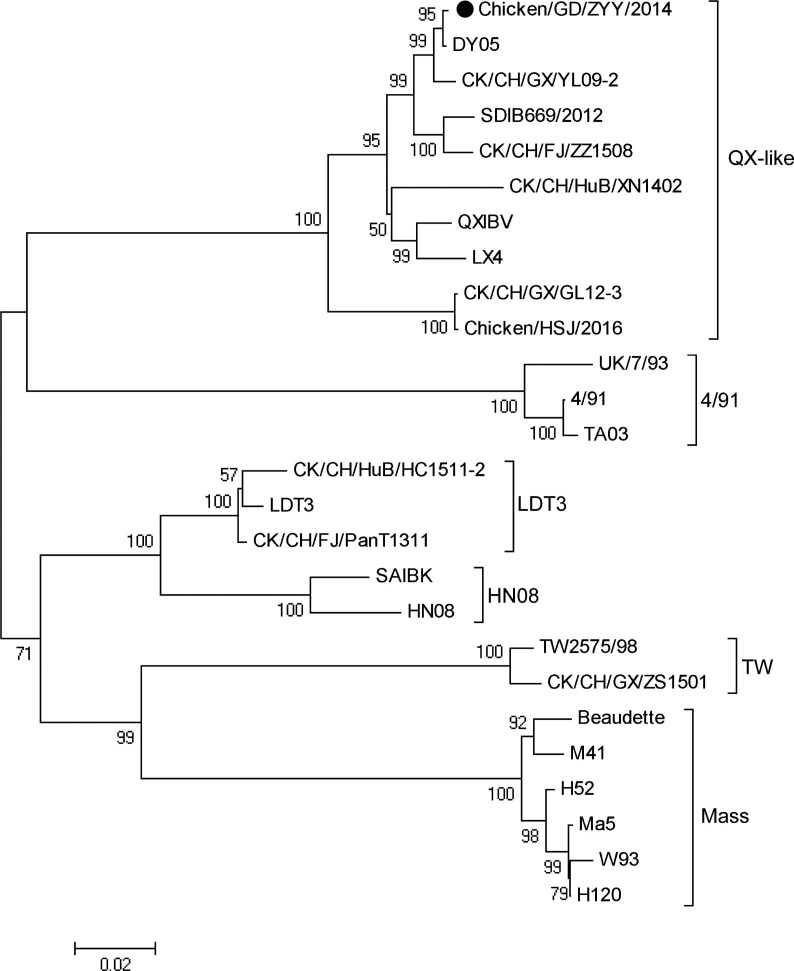 Fig. 1