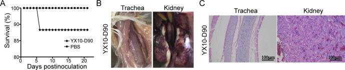 Supplementary Fig. 1