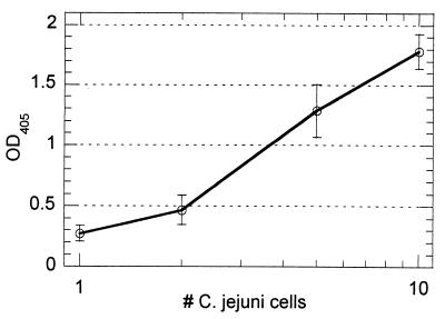 FIG. 5