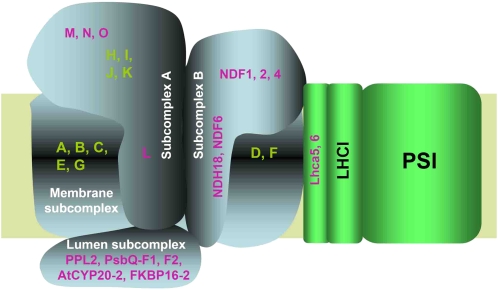 Figure 9.