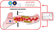 graphic file with name MNFR-66-2100990-g004.jpg