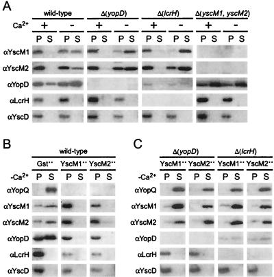 FIG. 2.