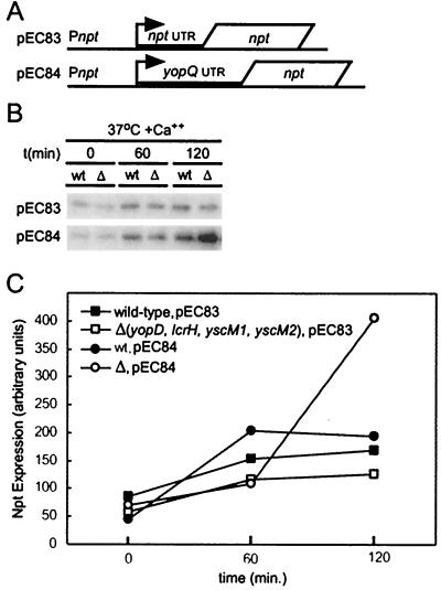 FIG. 7.