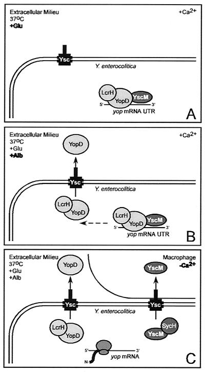 FIG. 11.