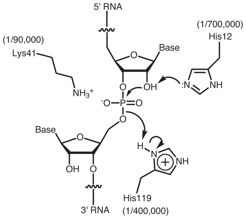 Figure 6.2