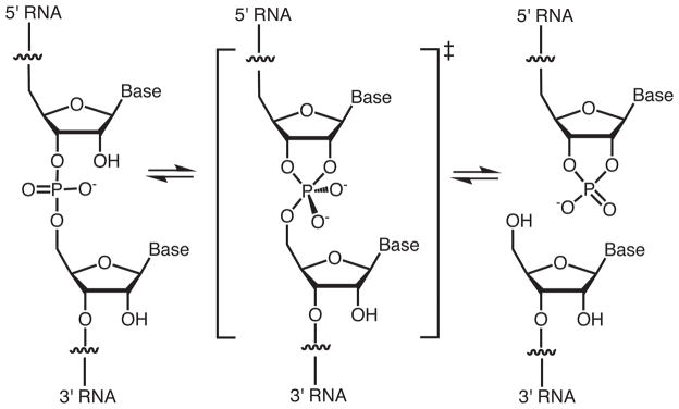 Figure 6.1