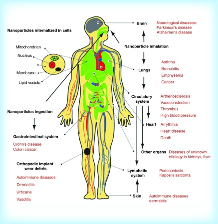 Figure 12. 